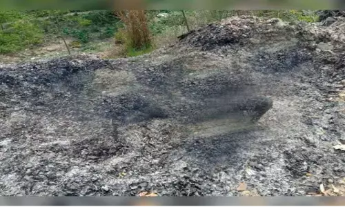 कूड़ा डंपिंंग यार्ड में जलाकर महिला की हत्या, सीसीटीवी फुटेज खंगाल रही पुलिस कूड़ा डंपिंंग यार्ड में जलाकर महिला की हत्या, सीसीटीवी फुटेज खंगाल रही पुलिस