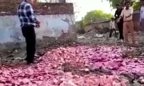 खुले मैदान में पड़े थे हजारों कंडोम किसके थे ? छापेमारी में हुआ बड़ा खुलासा