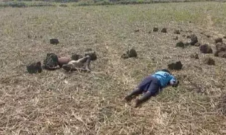 рд▓рд╛рдкрддрд╛ 2 рдмрдЪреНрдЪреЛрдВ рдХреА рдЦреЗрдд рд╕реЗ рдорд┐рд▓реА рд▓рд╛рд╢, рдкрддреНрдерд░ рд╕реЗ рдХреБрдЪрд▓рдХрд░ рдХреА рдЧрдИ рд╣рддреНрдпрд╛ рд▓рд╛рдкрддрд╛ 2 рдмрдЪреНрдЪреЛрдВ рдХреА рдЦреЗрдд рд╕реЗ рдорд┐рд▓реА рд▓рд╛рд╢, рдкрддреНрдерд░ рд╕реЗ рдХреБрдЪрд▓рдХрд░ рдХреА рдЧрдИ рд╣рддреНрдпрд╛