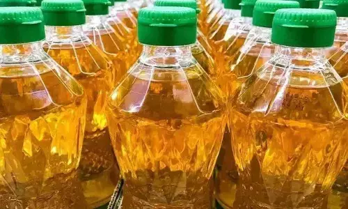 Big Breaking News: सरसों समेत खाने के सभी तेल हुए सस्ते, जानिए गिरावट के बाद अब क्या हो गया लेटेस्ट रेट