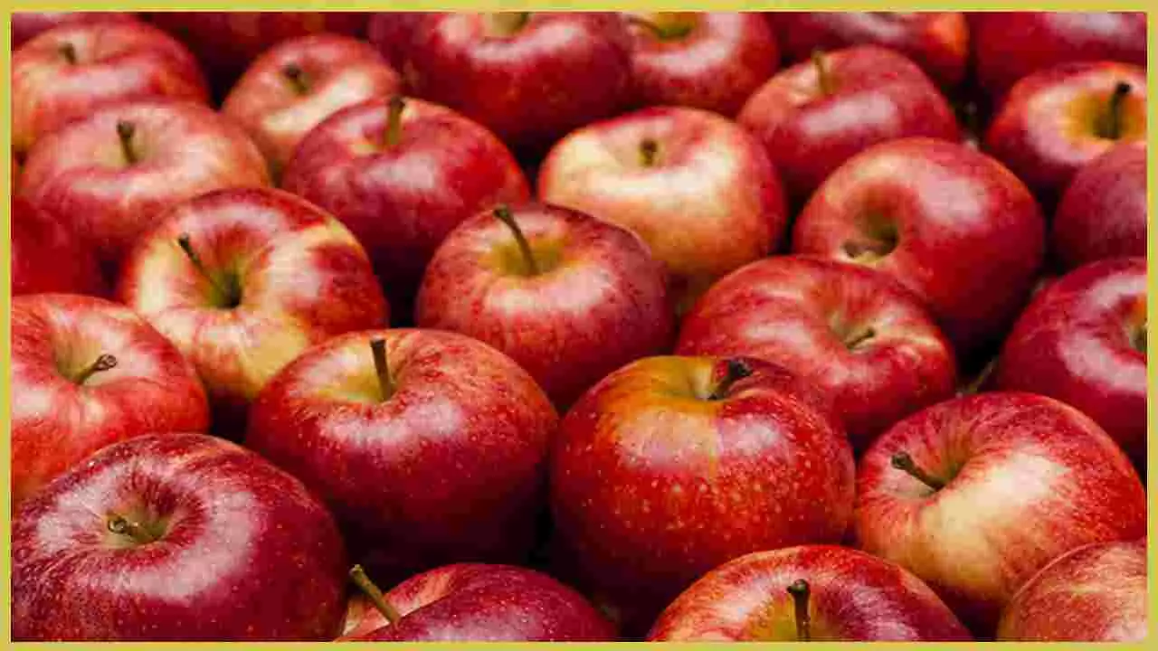 सेब की चमक और ताजगी बन सकती है बीमारी की वजह, केस स्टडी में खुलासा