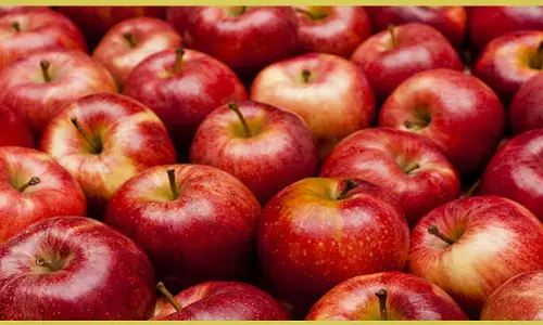 सेब की चमक और ताजगी बन सकती है बीमारी की वजह, केस स्टडी में खुलासा