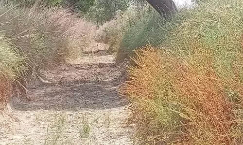 नहर की खुदाई के नाम पर करोड़ों की रकम हड़प करने वाले अधिकारियों और ठेकेदारों के कारनामों पर जांच करा कर कार्यवाही की मांग नहर की खुदाई के नाम पर करोड़ों की रकम हड़प करने वाले अधिकारियों और ठेकेदारों के कारनामों पर जांच करा कर कार्यवाही की मांग