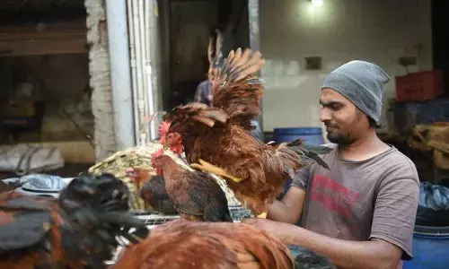 Delhi Minorities Commission notice to Mayor :नवरात्रि के दौरान मीट की दुकानें बंद करने पर मेयर को दिल्ली अल्पसंख्यक आयोग का नोटिस