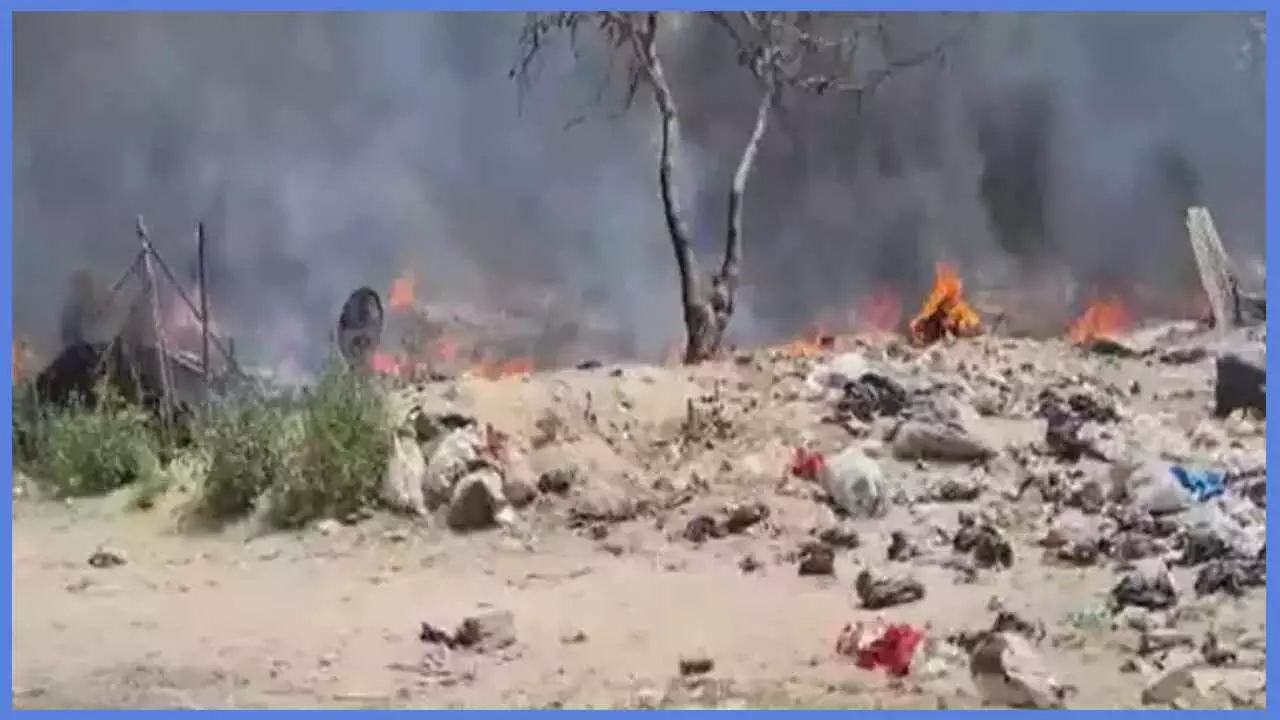 गाजियाबाद के झुग्गियों में लगी भीषण आग, चपेट में आने से 100 गायों की जिंदा जलकर दर्दनाक मौत