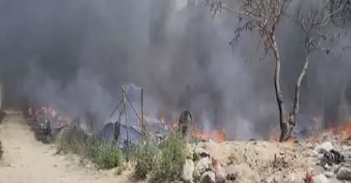 Ghaziabad Fire incident: झुग्गियों में भीषण आग, 50 से ज्यादा गायों की जलकर मौत