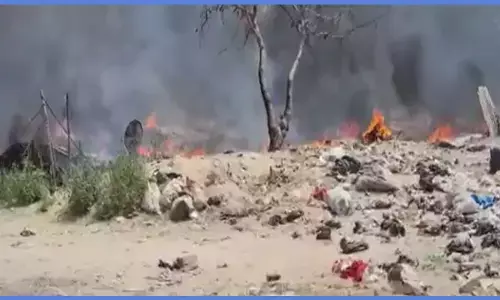 गाजियाबाद के झुग्गियों में लगी भीषण आग, चपेट में आने से 100 गायों की जिंदा जलकर दर्दनाक मौत गाजियाबाद के झुग्गियों में लगी भीषण आग, चपेट में आने से 100 गायों की जिंदा जलकर दर्दनाक मौत