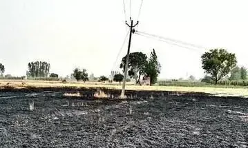 विद्युत विभाग की लापरवाही के चलते किसान की 8 बीघा गेहूं की फसल जलकर राख विद्युत विभाग की लापरवाही के चलते किसान की 8 बीघा गेहूं की फसल जलकर राख