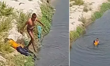 युवती ने यमुना में लगाई छलांग तो लोग बनाने लगे वीडियो, भैंस चराने वाले युवक ने बचाई जान युवती ने यमुना में लगाई छलांग तो लोग बनाने लगे वीडियो, भैंस चराने वाले युवक ने बचाई जान