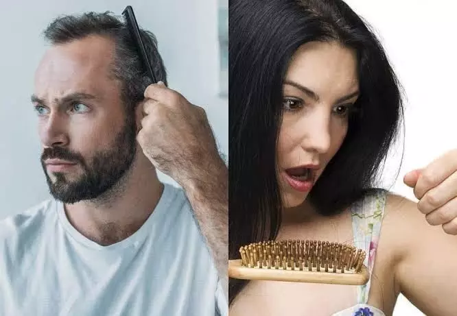 Hair Fall: हेयर फॉल की समस्या को खत्म करने के लिए इन चीजों को करें अपनी प्लेट में शामिल