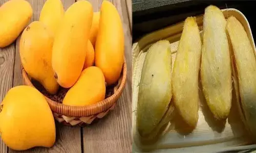 Cholestrol Control Tips: कोलेस्ट्रोल से हो चुके हैं परेशान, तो भूलकर भी ना फेंके आम की गुठलीयां