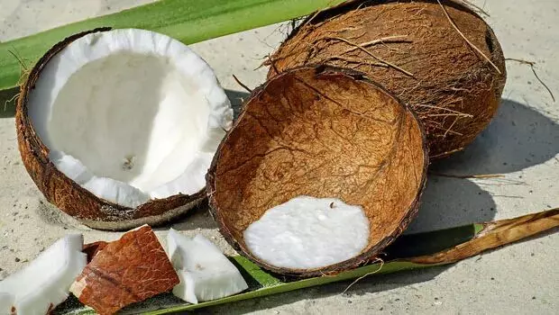 कच्चे नारियल का रोजाना एक टुकड़ा शरीर को देता है कई लाभ