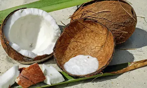 कच्चे नारियल का रोजाना एक टुकड़ा शरीर को देता है कई लाभ