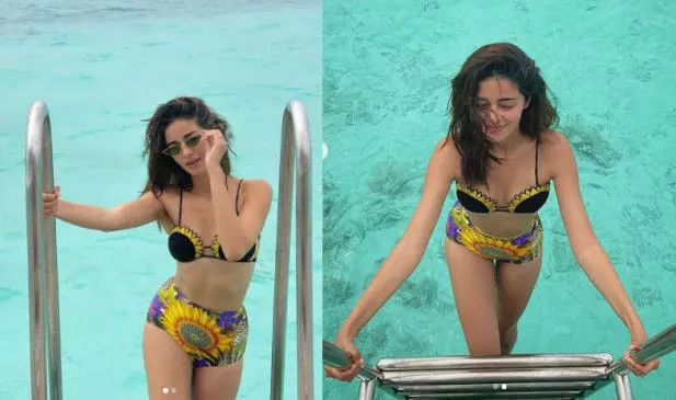 Ananya Panday Sexy Video: Ananya Panday की बिकिनी फोटोज ने उड़ाए फैंस के होश, हॉट स्टाइल में करती दिखी पोज