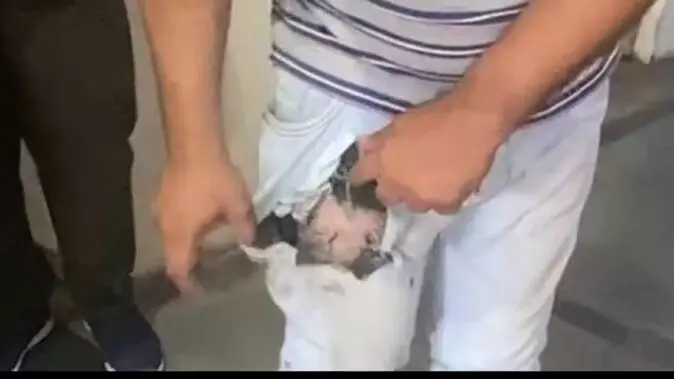 जेब में रखा मोबाइल फटा, जख्मी युवक को ले जाना पड़ा अस्पताल, जानें कैसे हुआ ये सब जेब में रखा मोबाइल फटा, जख्मी युवक को ले जाना पड़ा अस्पताल, जानें कैसे हुआ ये सब