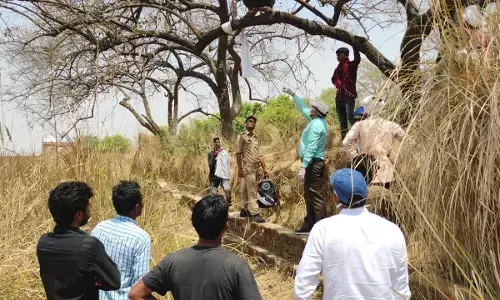 पेड़ पर लटका मिला युवक का शव हत्या की आशंका पेड़ पर लटका मिला युवक का शव हत्या की आशंका