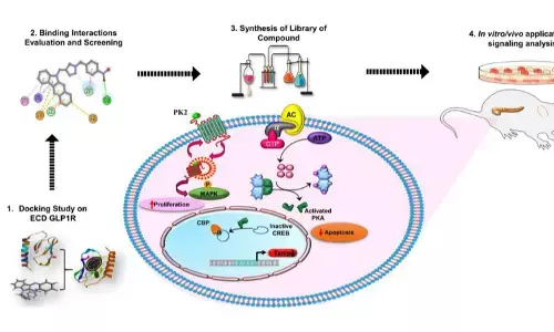 मधुमेह उपचार में उपयोगी हो सकता है नया ड्रग मॉलिक्यूल मधुमेह उपचार में उपयोगी हो सकता है नया ड्रग मॉलिक्यूल