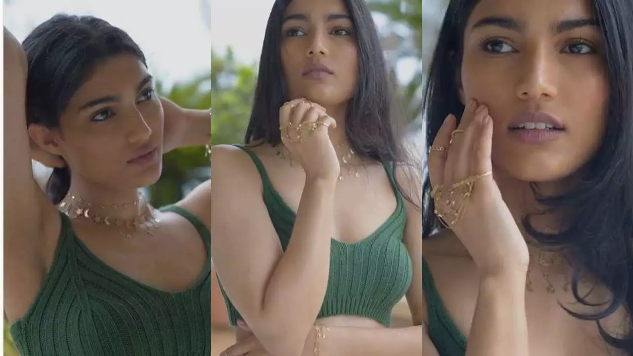 Alizeh Agnihotri Sexy Video: Salman Khan की भांजी Alizeh Agnihotri की खूबसूरत Photos हुई Viral, ईद पार्टी में बिखेरा जलवा