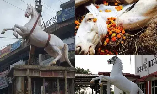 शक्तिमान घोड़े के मामले का जिन्न फिर आया बाहर, हाई कोर्ट ने गृह सचिव को दिए यह निर्देश शक्तिमान घोड़े के मामले का जिन्न फिर आया बाहर, हाई कोर्ट ने गृह सचिव को दिए यह निर्देश