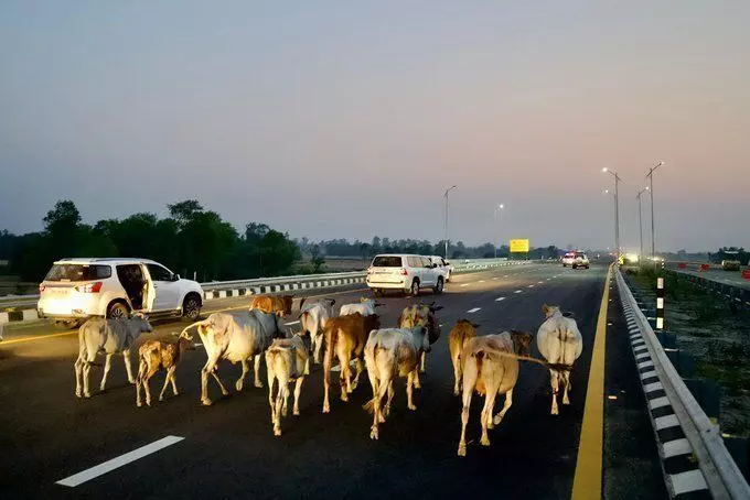 अब अखिलेश यादव ने किया इस फ़ोटो को शेयर जानिए क्यों?