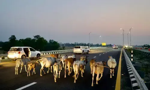 अब अखिलेश यादव ने किया इस फ़ोटो को शेयर जानिए क्यों? अब अखिलेश यादव ने किया इस फ़ोटो को शेयर जानिए क्यों?