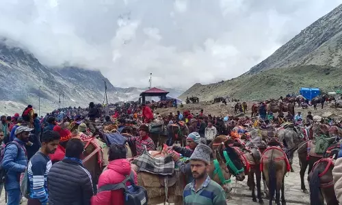 चारधाम में अब तक 23 तीर्थयात्रियों की मौत, स्वास्थ्य विभाग ने जारी किए हेल्पलाइन नंबर