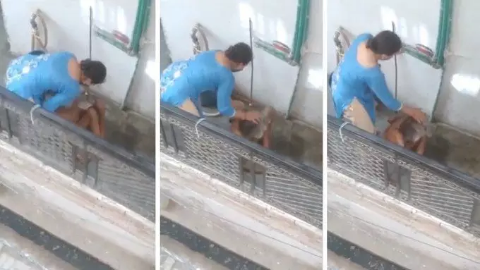 Viral Video : सास को बेरहमी से पीटते हुए बहू का Video वायरल Viral Video : सास को बेरहमी से पीटते हुए बहू का Video वायरल