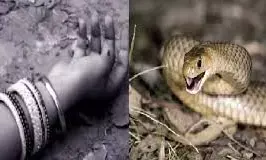 महिला को सांप ने डसा तो तांत्रिक से कराया इलाज, हालत बिगड़ने पर मौत महिला को सांप ने डसा तो तांत्रिक से कराया इलाज, हालत बिगड़ने पर मौत