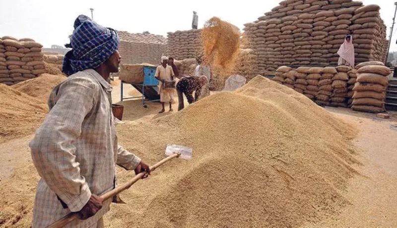 भारत ने तत्काल प्रभाव से गेहूं के निर्यात पर लगाई रोक, जानें- क्या है वजह