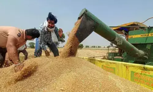 рднрд╛рд░рдд рдиреЗ рд▓рдЧрд╛рдИ рдЧреЗрд╣реВрдВ рдХреЗ рдПрдХреНрд╕рдкреЛрд░реНрдЯ рдкрд░ рд░реЛрдХ рднрд╛рд░рдд рдиреЗ рд▓рдЧрд╛рдИ рдЧреЗрд╣реВрдВ рдХреЗ рдПрдХреНрд╕рдкреЛрд░реНрдЯ рдкрд░ рд░реЛрдХ