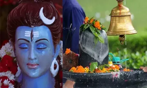 जानें शिवलिंग पर क्या चढ़ाएं और क्या नहीं, शिव पूजा में भूलकर भी न शामिल करें ये चीजें जानें शिवलिंग पर क्या चढ़ाएं और क्या नहीं, शिव पूजा में भूलकर भी न शामिल करें ये चीजें