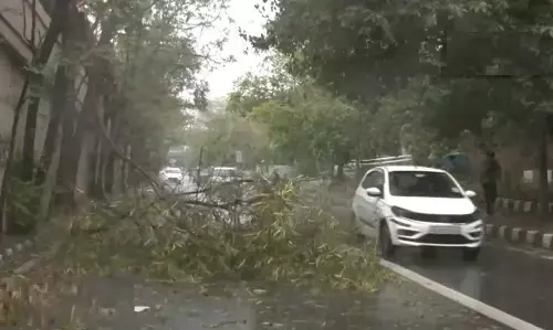 दिल्ली एनसीआर में तेज हवाओं के साथ झमाझम बारिश, मगर आंधी-बरसात के कारण कई उड़ानें प्रभावित