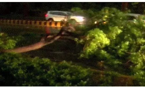 рджрд┐рд▓реНрд▓реА рдореЗрдВ рддреЗрдЬ рдЖрдВрдзреА рдФрд░ рдмрд╛рд░рд┐рд╢ рд╕реЗ рдЧрд┐рд░реЗ рдХрдИ рдкреЗрдбрд╝, рд╣рд╡рд╛рдИ рдпрд╛рддреНрд░рд╛ рдкреНрд░рд╛рднрд╛рд╡рд┐рдд рджрд┐рд▓реНрд▓реА рдореЗрдВ рддреЗрдЬ рдЖрдВрдзреА рдФрд░ рдмрд╛рд░рд┐рд╢ рд╕реЗ рдЧрд┐рд░реЗ рдХрдИ рдкреЗрдбрд╝, рд╣рд╡рд╛рдИ рдпрд╛рддреНрд░рд╛ рдкреНрд░рд╛рднрд╛рд╡рд┐рдд