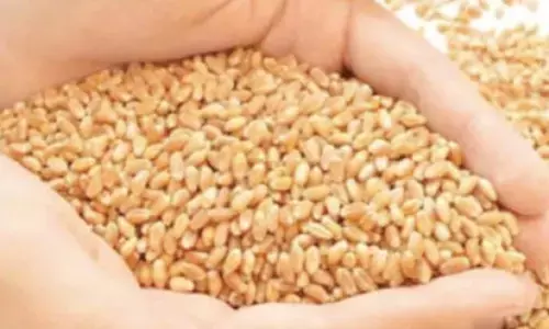 Ration Card: рд░рд╛рд╢рди рдореЗрдВ рдХрдЯреМрддреАтАж рдЧреЗрд╣реВрдВ рдмрдВрдж, рдЪрд╛рд╡рд▓ рд╕реЗ рдЪрд▓рд╛рдирд╛ рд╣реЛрдЧрд╛ рдХрд╛рдо, рдЬрдирдкрдж рдХреЗ 4 рд▓рд╛рдЦ рдкрд░рд┐рд╡рд╛рд░ рд╣реЛрдВрдЧреЗ рдкреНрд░рднрд╛рд╡рд┐рдд Ration Card: рд░рд╛рд╢рди рдореЗрдВ рдХрдЯреМрддреАтАж рдЧреЗрд╣реВрдВ рдмрдВрдж, рдЪрд╛рд╡рд▓ рд╕реЗ рдЪрд▓рд╛рдирд╛ рд╣реЛрдЧрд╛ рдХрд╛рдо, рдЬрдирдкрдж рдХреЗ 4 рд▓рд╛рдЦ рдкрд░рд┐рд╡рд╛рд░ рд╣реЛрдВрдЧреЗ рдкреНрд░рднрд╛рд╡рд┐рдд