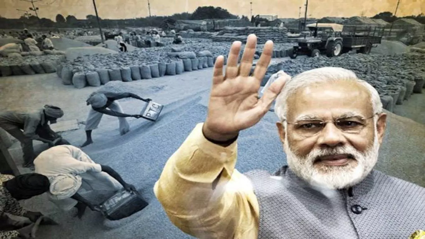 मोदी सरकार ने किसानों को दिया बड़ा तोहफा, 17 फसलों की MSP में किया इजाफा मोदी सरकार ने किसानों को दिया बड़ा तोहफा, 17 फसलों की MSP में किया इजाफा