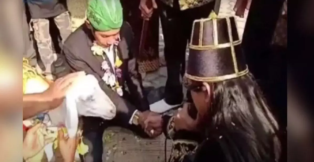 44 साल के सैफुल ने बकरी के साथ किया निकाह, दहेज़ में मिला... देखें Video