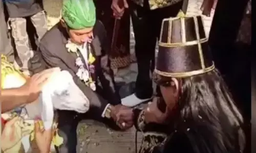 44 साल के सैफुल ने बकरी के साथ किया निकाह, दहेज़ में मिला... देखें Video