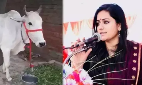 फतेहपुर DM की गाय की देखभाल करेगी 7 डॉक्टरों की टीम! आदेश वायरल होने पर मचा हड़कंप फतेहपुर DM की गाय की देखभाल करेगी 7 डॉक्टरों की टीम! आदेश वायरल होने पर मचा हड़कंप