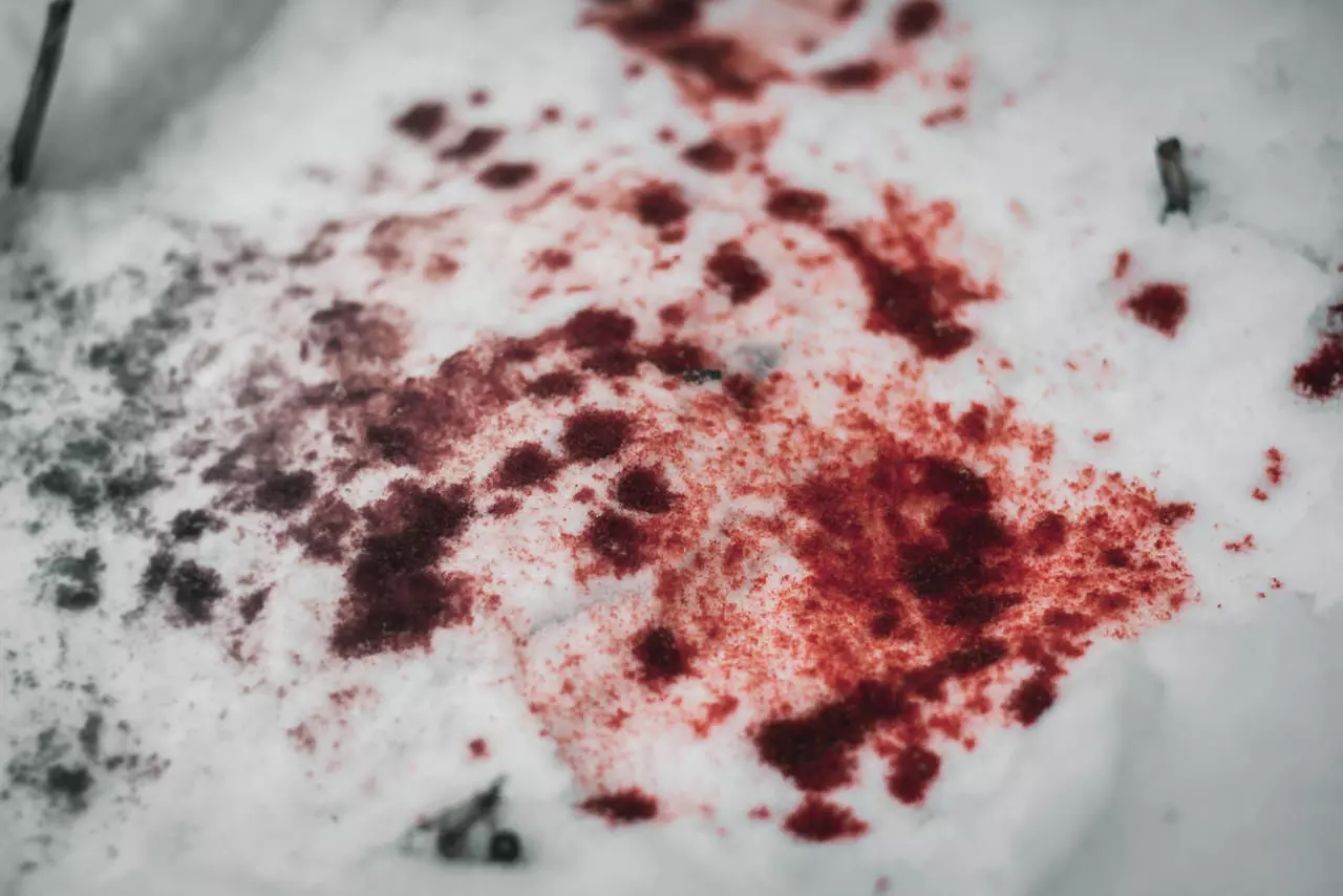 स्नो ब्लड : खून जैसा हो गया बर्फ का रंग, वैज्ञानिकों ने बताई ये वजह