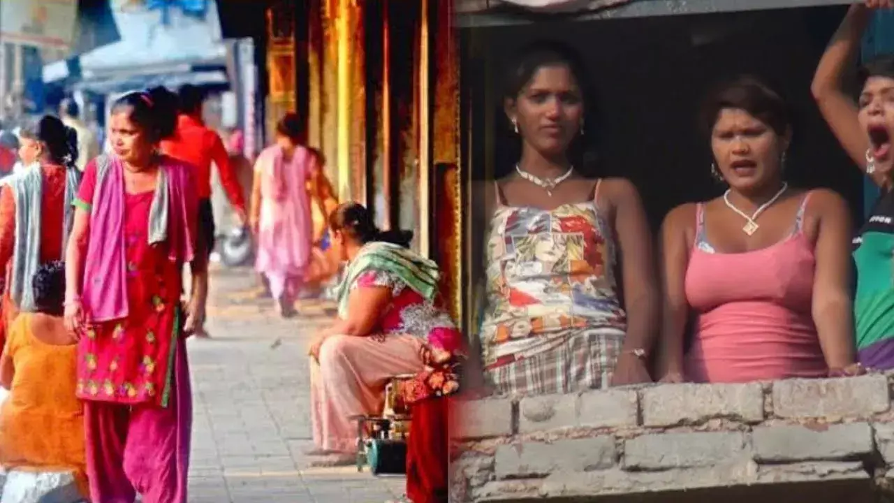 वैश्या--...देखिये मरीज को उठाने या ज्यादा बुलवाने का प्रयास मत करियेगा। वरना घातक होगा। डॉक्टर ने हिदायत देते हुए कहा।