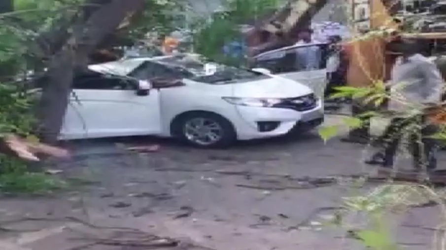 Chennai News: ऑफिस से लौट रही महिला की कार पर गिरा पेड़, मौके पर हो गई मौत, 2 लोग घायल
