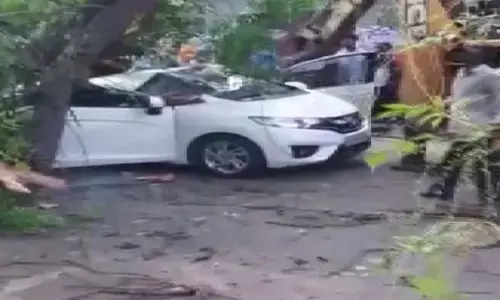 Chennai News: ऑफिस से लौट रही महिला की कार पर गिरा पेड़, मौके पर हो गई मौत, 2 लोग घायल