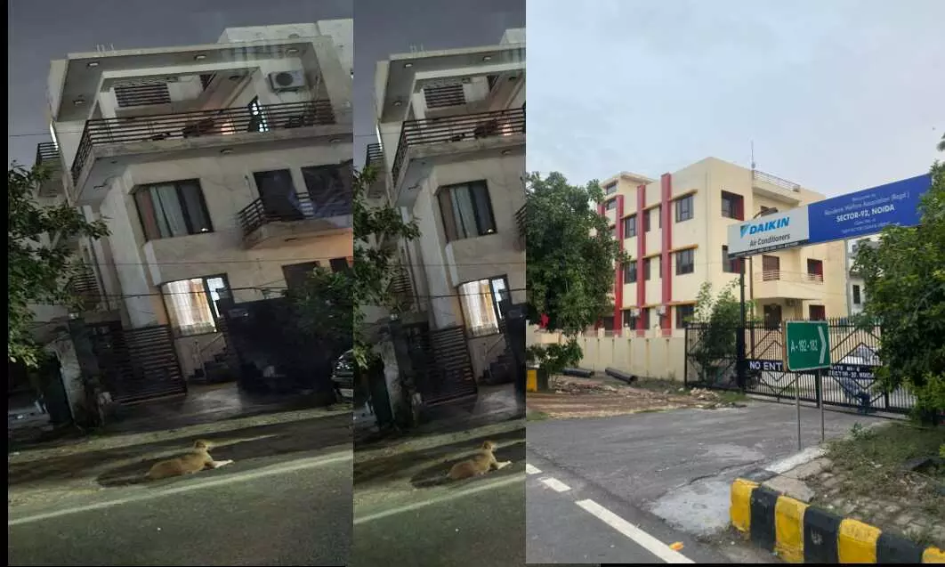 चीनी गैंग का असली सरगना डू योंगान पुलिस की पकड़ से दूर, लंबे समय से वीजा एक्सपायर होने के बावजूद अवैध रूप से नोएडा में है मौजूद चीनी गैंग का असली सरगना डू योंगान पुलिस की पकड़ से दूर, लंबे समय से वीजा एक्सपायर होने के बावजूद अवैध रूप से नोएडा में है मौजूद