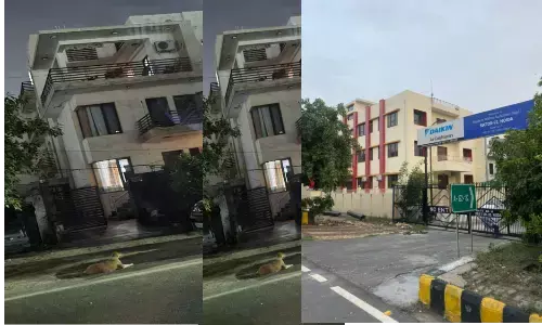 चीनी गैंग का असली सरगना डू योंगान पुलिस की पकड़ से दूर, लंबे समय से वीजा एक्सपायर होने के बावजूद अवैध रूप से नोएडा में है मौजूद चीनी गैंग का असली सरगना डू योंगान पुलिस की पकड़ से दूर, लंबे समय से वीजा एक्सपायर होने के बावजूद अवैध रूप से नोएडा में है मौजूद