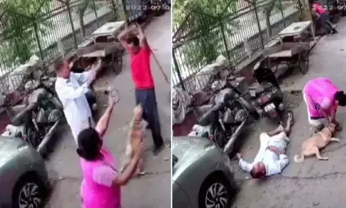 पालतू कुत्ते के भौंकने पर पड़ोसी ने कुत्ते के मालिक समेत तीन पर पर किया रॉड से हमला, रौंगटे खड़े करने वाला वीडियो आया सामने