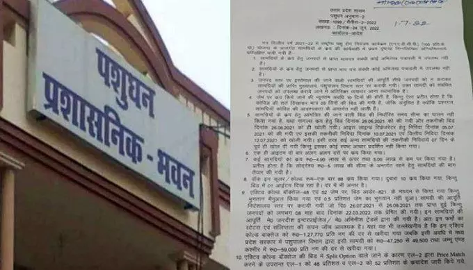 Uttar Pradesh livestock scam, Uttar Pradesh government scam, Uttar Pradeshs Yogi government scam, UP news, UP breaking news, Uttar Pradesh latest news, Uttar Pradesh big news, Uttar Pradesh livestock scam, Uttar Pradesh government scam, Uttar Pradeshs Yogi government scam, UP news, UP breaking news, Uttar Pradesh latest news, Uttar Pradesh big news,