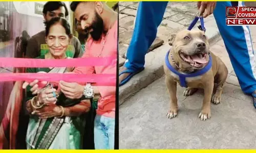 लखनऊ : पालतू कुत्ते पिटबुल ने मालकिन को नोच-नोच कर मार डाला, पेट फाड़कर मांस निकाला, हुई मौत
