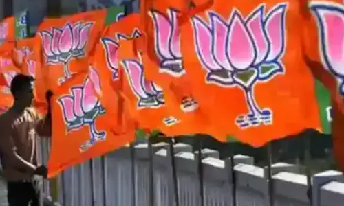 2019 के लोकसभा चुनावों में 141 सीटों पर हारी भाजपा ने 2024 लोकसभा चुनाव में उन सीटों को जिताने की जिम्मेदारी इन मंत्रियों को सौंपी