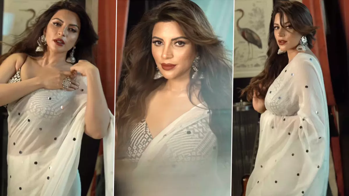 Shama Sikander Sexy Video Photos: शमा सिकंदर का ट्रांसपेरेंट साड़ी में दिखा स्टनिंग अवतार, यूजर्स बोले-फायर हो तुम