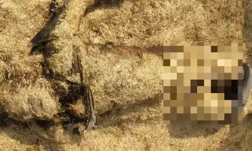 वैज्ञानिकों ने ढूंढी भूसे के ढेर में सुई, मिला एक ब्लैकहॉल वैज्ञानिकों ने ढूंढी भूसे के ढेर में सुई, मिला एक ब्लैकहॉल